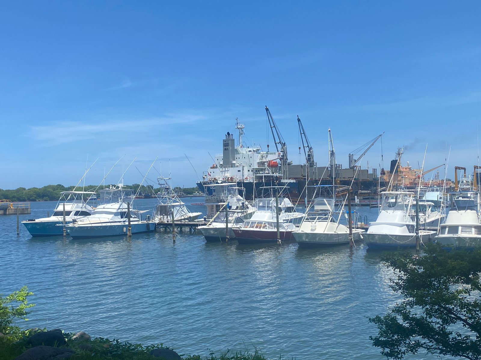 Sport fishing boats at the marina