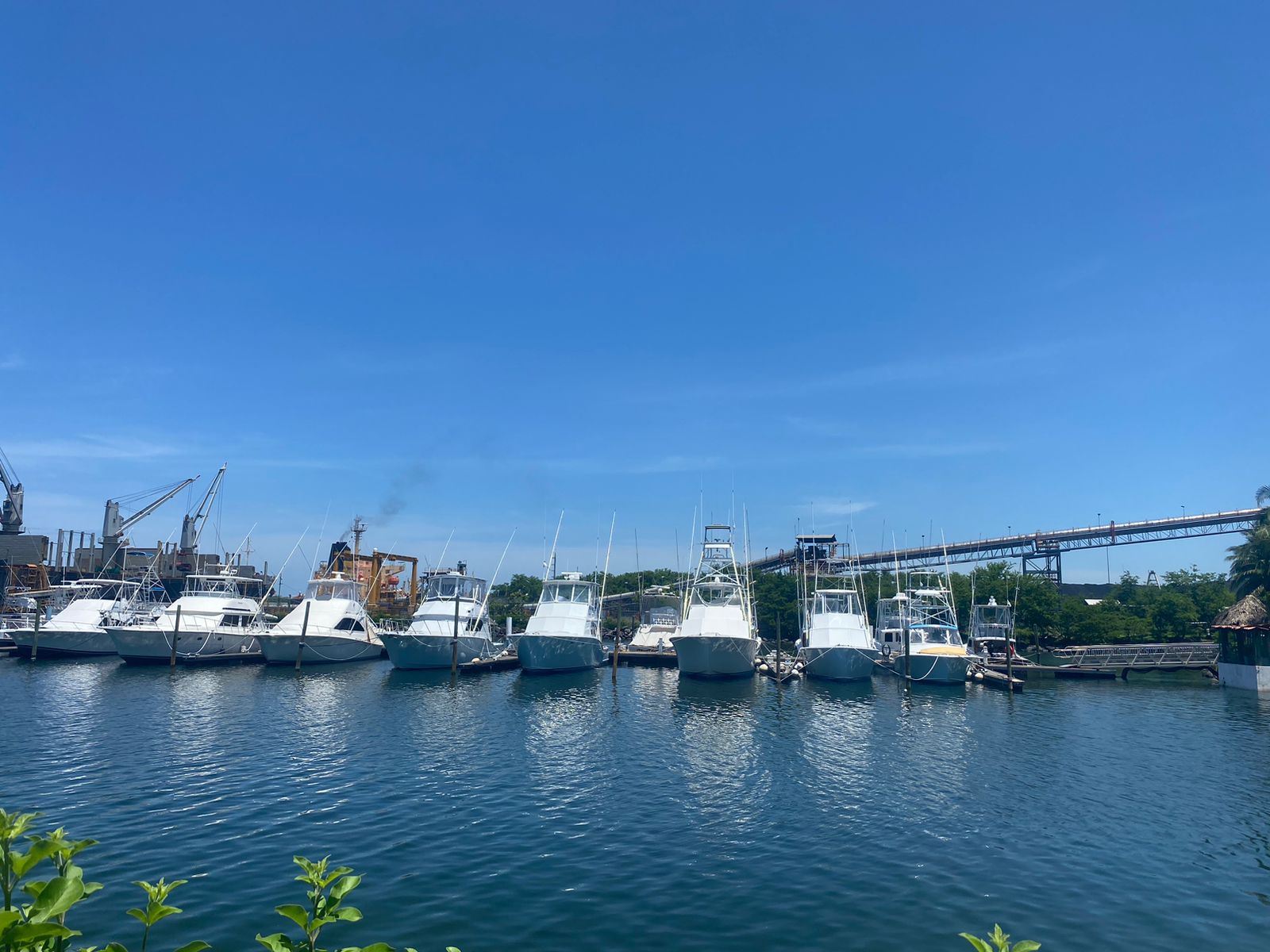 Sport fishing boats moored at Marina Pez Vela